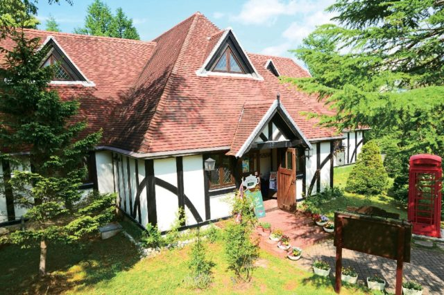 英国グルメ&ショッピング