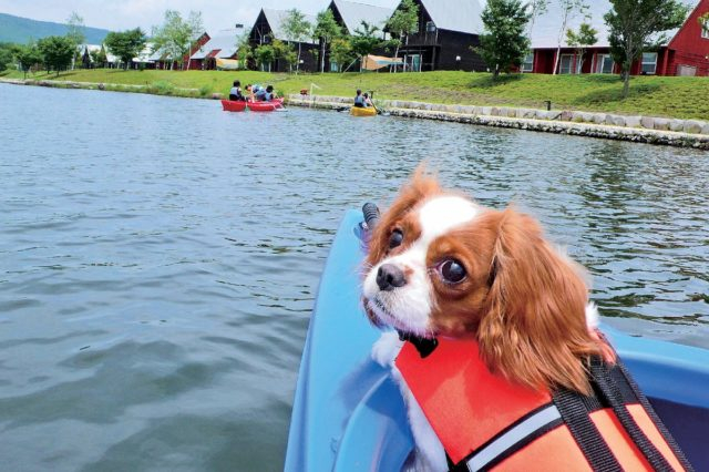 リフレッシュ1 人造湖でアクティビティ