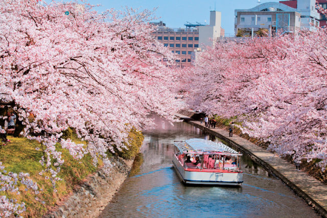 【富山×春の見どころ】4月