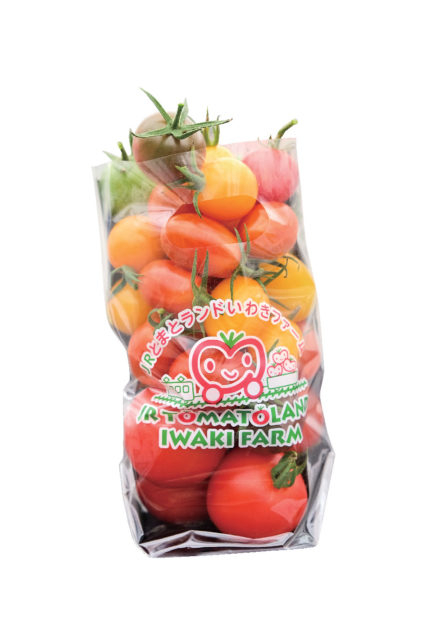 トマト収穫体験