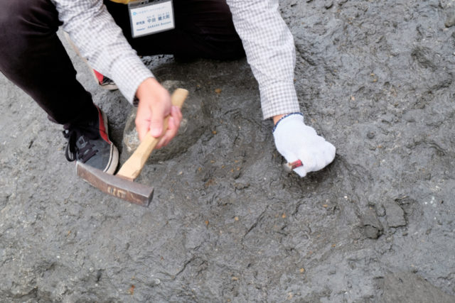 化石発掘にチャレンジ