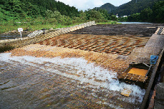 山形の人気道の駅ランキング14位 道の駅 白鷹ヤナ公園