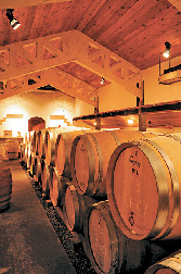 エリア⑧:ひと足延ばす 新潟タウン周辺