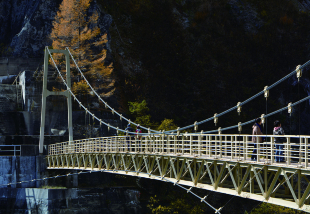 【立山黒部アルペンルート観光×黒部ダム】<ひと足のばして!>湖畔遊歩道で森林浴を