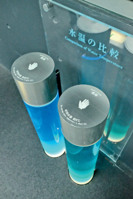 比べてみよう!親潮vs黒潮