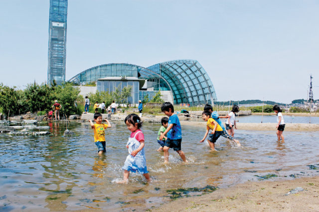 ココに注目!④キッズに人気の屋外ゾーン【蛇の目ビーチ】