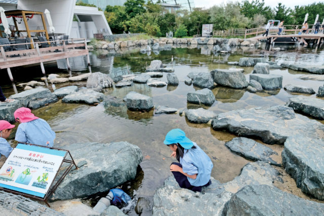 ココに注目!④キッズに人気の屋外ゾーン【蛇の目ビーチ】