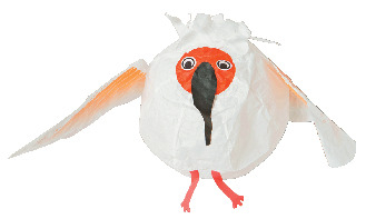 【新潟タウン・カミフル×ショッピング】おしゃれアイテムがズラリ「hickory03travelers」