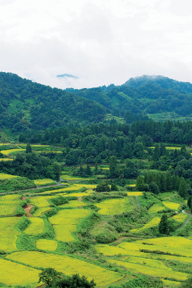 新潟の観光エリア3.越後湯沢 魚沼・十日町エリア