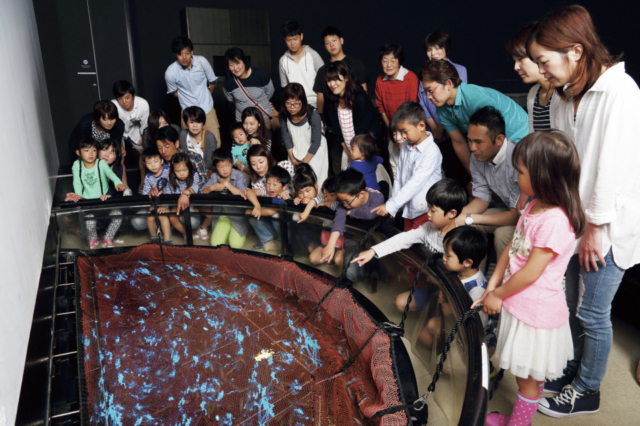 見どころ① 発光ライブショー