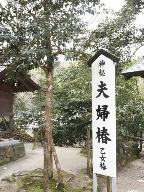 【島根・松江&出雲観光×1泊2日プラン】2日目 PM2:00 八重垣神社でご縁占い