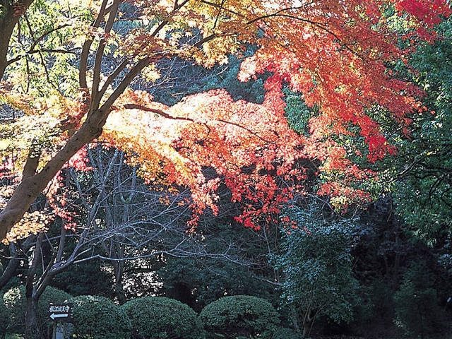 松江城山公園の立ち寄りスポット