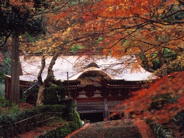 鰐淵寺
