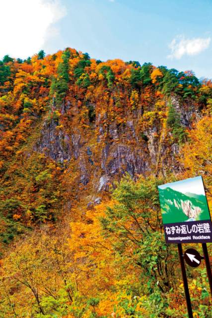 ねずみ返しの岩壁