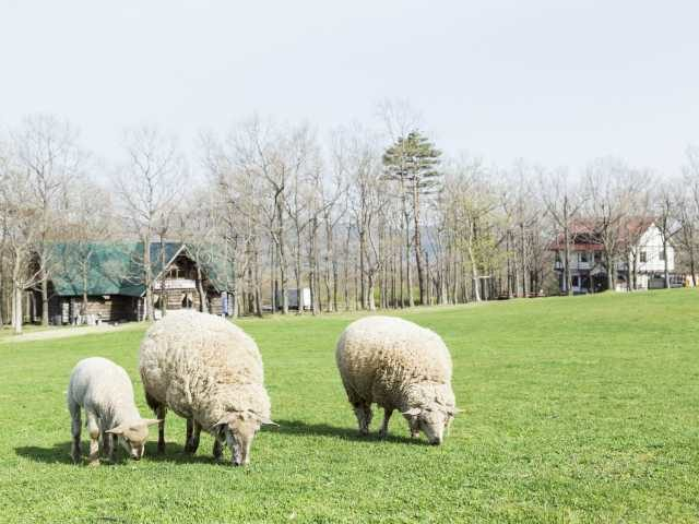 蔵王ハートランド