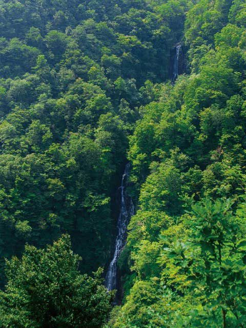 <蔵王ドライブコース④> 滝見台