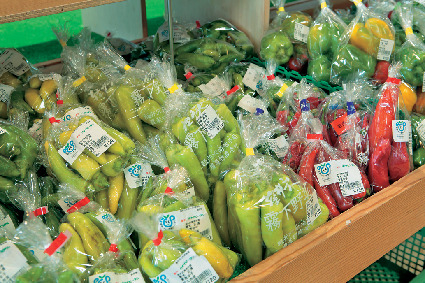 【南軽井沢・軽井沢発地市庭×高原野菜】軽井沢直売所