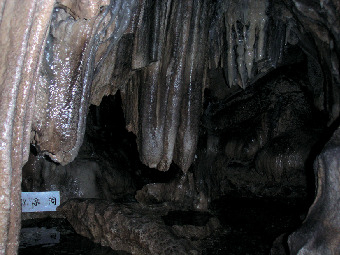【入水鍾乳洞】音楽洞
