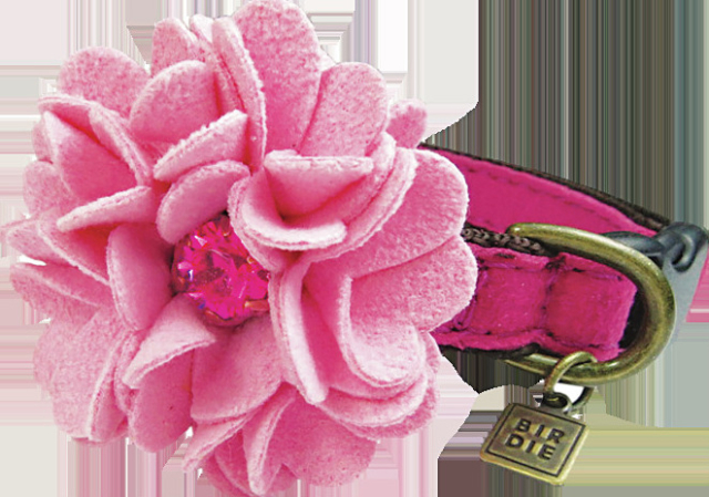 【軽井沢駅周辺の雑貨×ハイセンスな雑貨店】軽井沢BIRDIE DOG Lover's shop + CAT