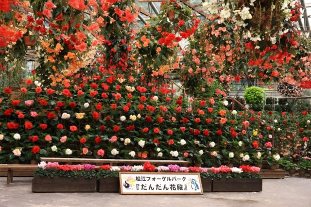 松江フォーゲルパーク