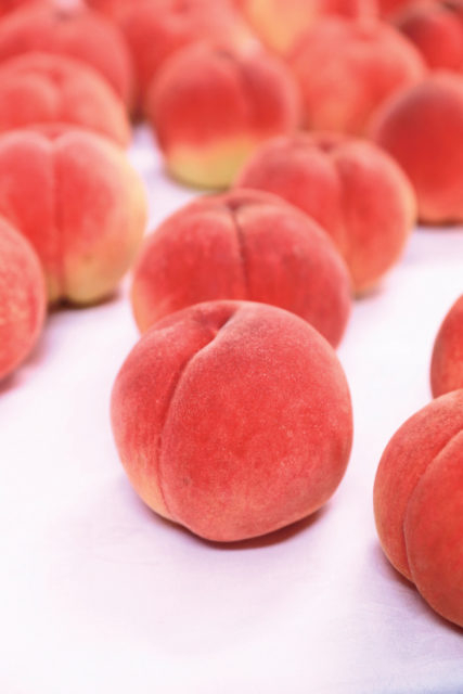 福島県北は桃の名産地