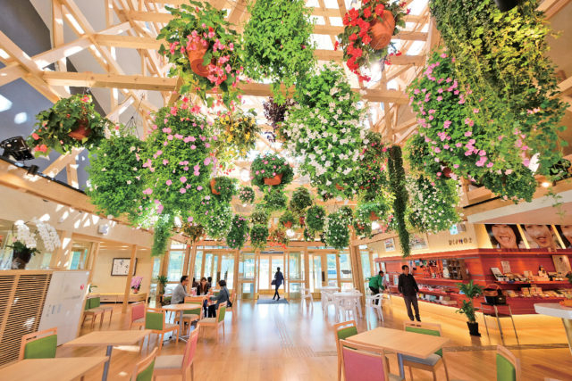 いいたて村の道の駅 までい館