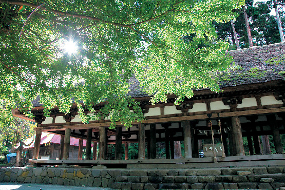 新宮熊野神社「長床」