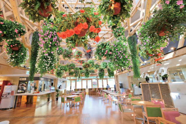 福島の人気道の駅ランキング17位 いいたて村の道の駅 までい館