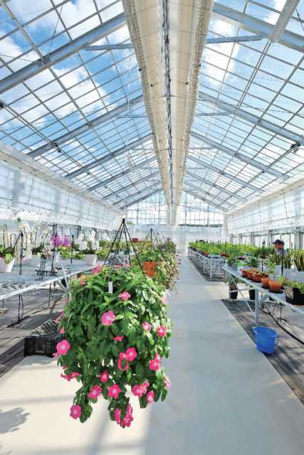 福島の人気道の駅ランキング17位 いいたて村の道の駅 までい館