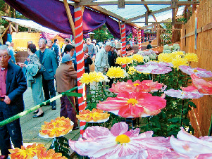 【イベント】弥彦菊まつり