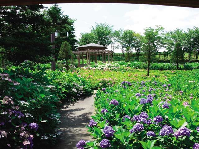 東山公園 あじさいの杜