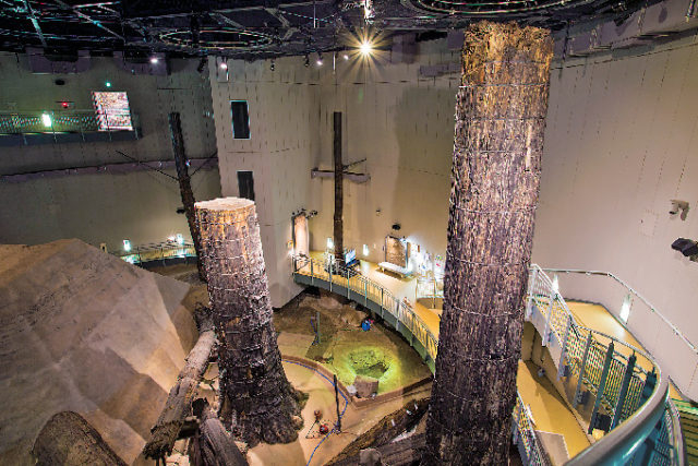 さんべ縄文の森ミュージアム(三瓶小豆原埋没林公園)