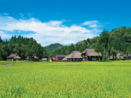 新潟の観光エリア5.長岡・柏崎エリア