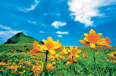 新潟の観光エリア8.佐渡エリア