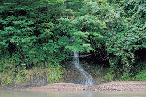 【最上川舟下り×最上峡芭蕉ライン】七滝