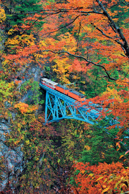 黒部峡谷の紅葉