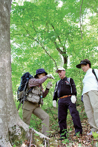 トヨタ白川郷自然學校