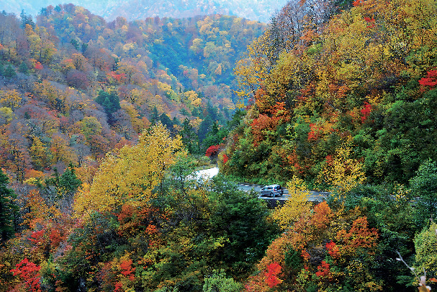 白山白川郷ホワイトロード
