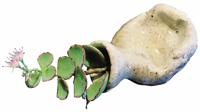 【軽井沢駅周辺の雑貨×ハイセンスな雑貨店】ラ・ボロンテ