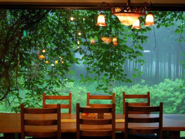 空の庭 自然レストラン
