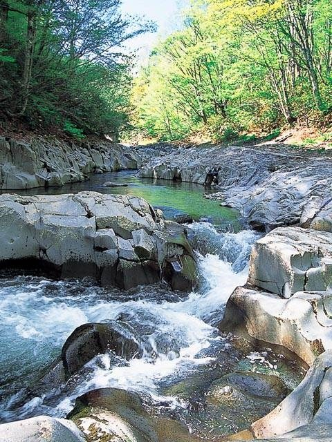 【磐梯高原絶景ドライブ×磐梯吾妻レークラインひと息スポット】爽やかな渓谷で心身をリフレッシュ「中津川渓谷」