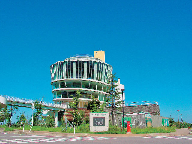 【新潟市郊外の観光・見どころ】水の公園 福島潟