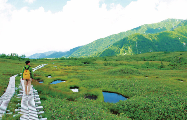 【立山黒部アルペンルート×弥陀ヶ原コース】②ガキの田広場