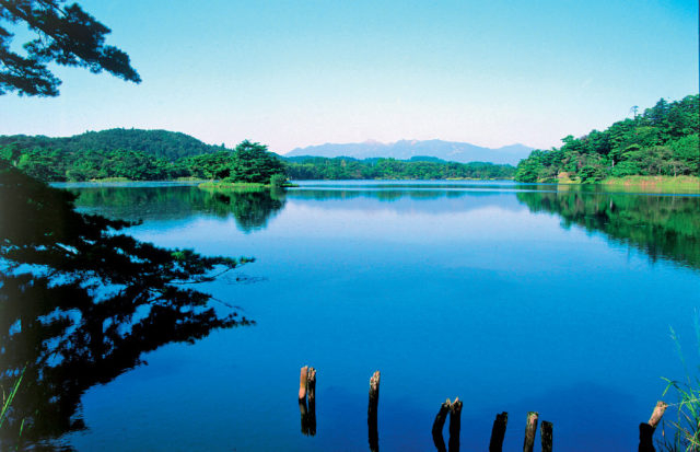 【白河の観光スポット】南湖公園