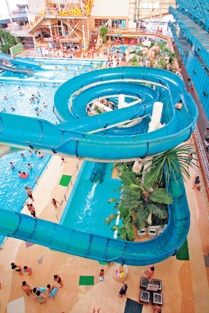 ワンダーホルン