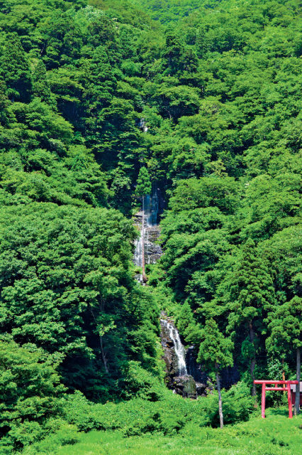 【最上川舟下り×最上峡芭蕉ライン】白糸の滝