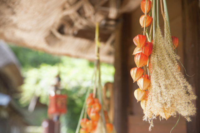 富山・五箇山のめぐり方