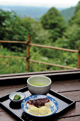 【山形ドライブ×クラゲ水族館と庄内グルメ満喫コース1】神秘に満ちた霊場でパワーチャージ!「羽黒山」