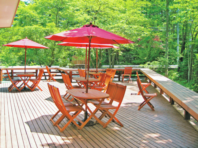 コスモス画と自然に包まれ、森の中で癒やしのカフェタイム「Art Gallery Forest cosmos」