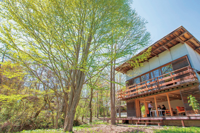 昭和の名建築を改装した陽だまりにたたずむカフェ「エロイーズカフェ」